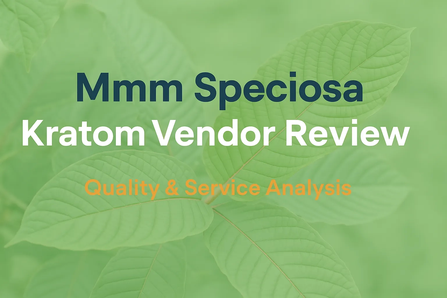Mmm Speciosa Kratom Vendor Review (1)