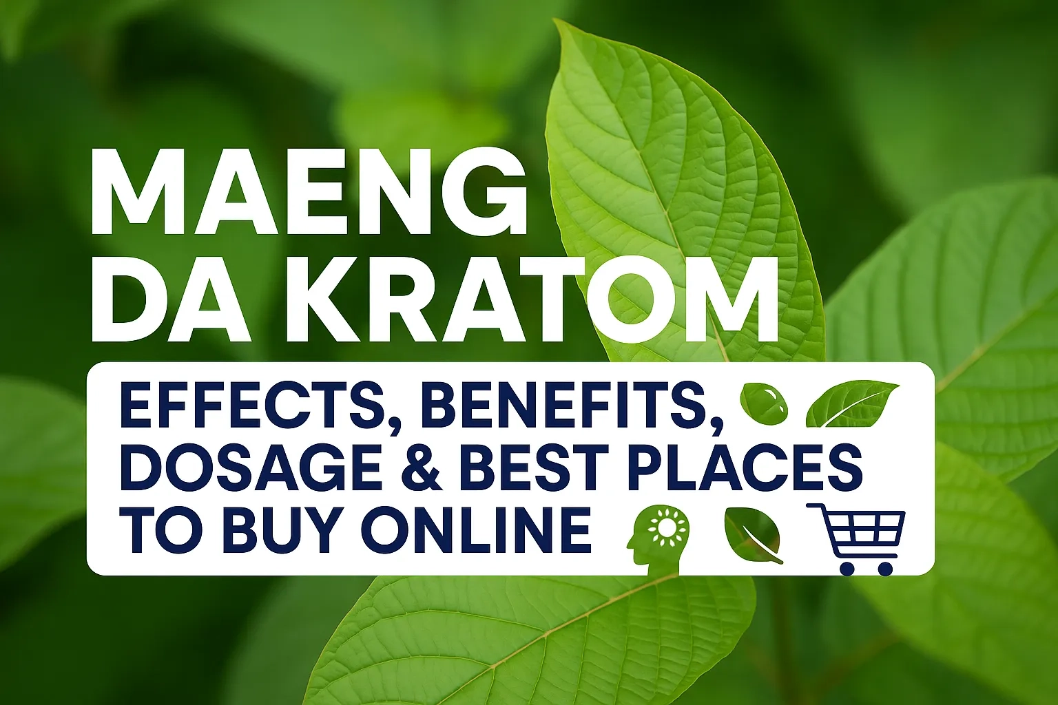 Maeng Da Kratom (1)