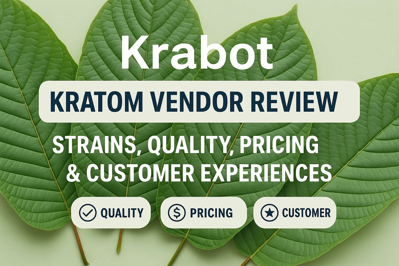 Krabot Kratom Vendor Reviews (1)