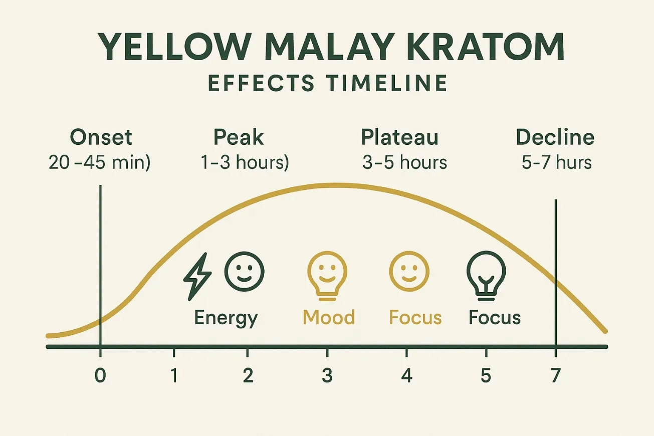 Comprehensive Benefits of Yellow Malay Kratom