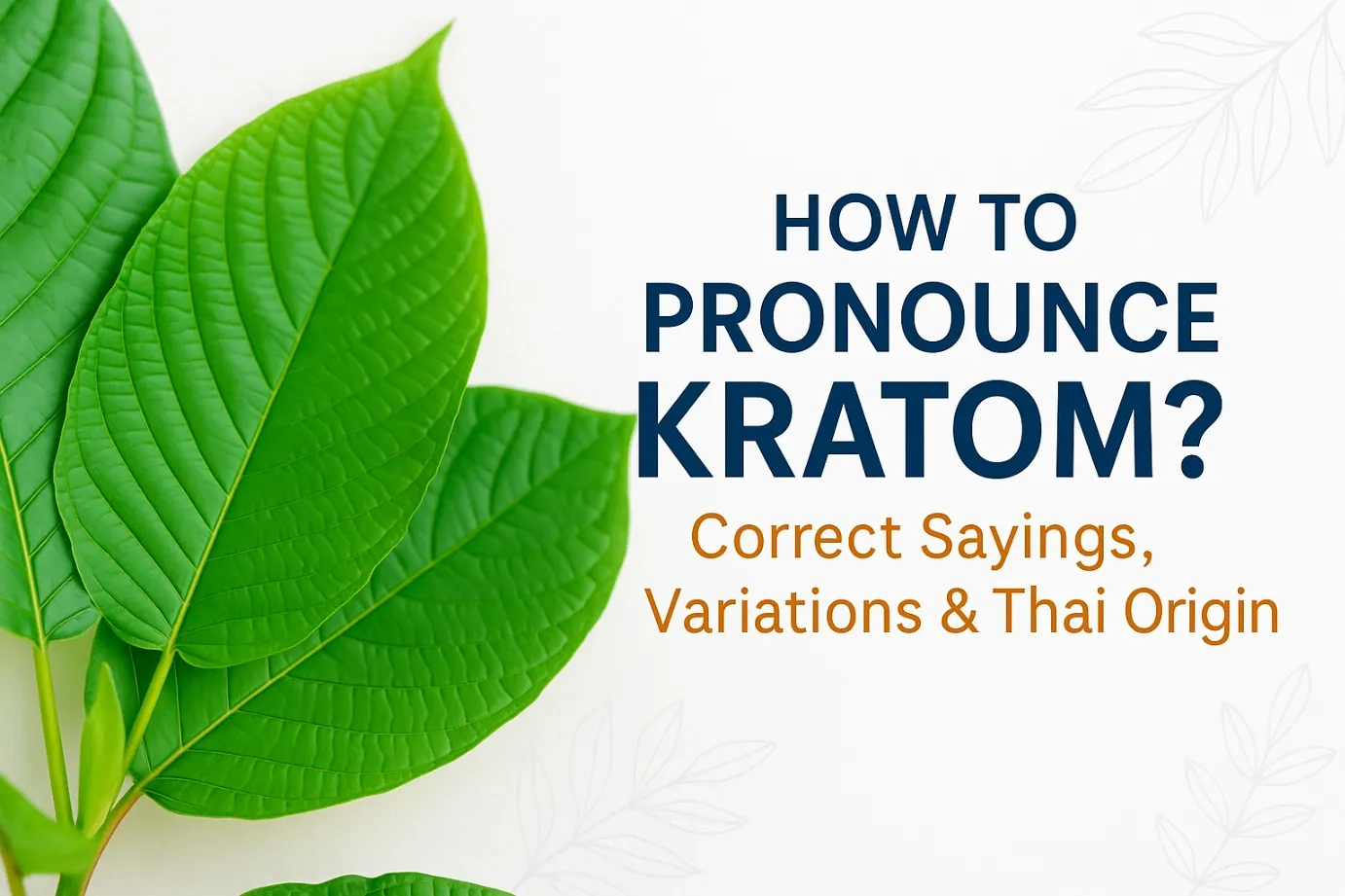 How to Pronounce Kratom Correct Sayings, Variations & Thai Origin
