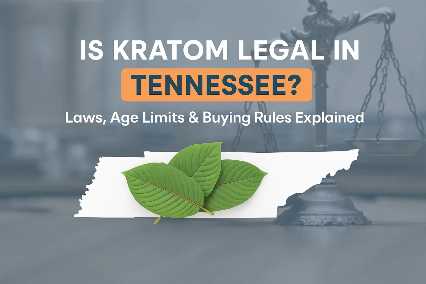 Is Kratom Legal in Tennessee Laws, Age Limits & Buying Rules Explained