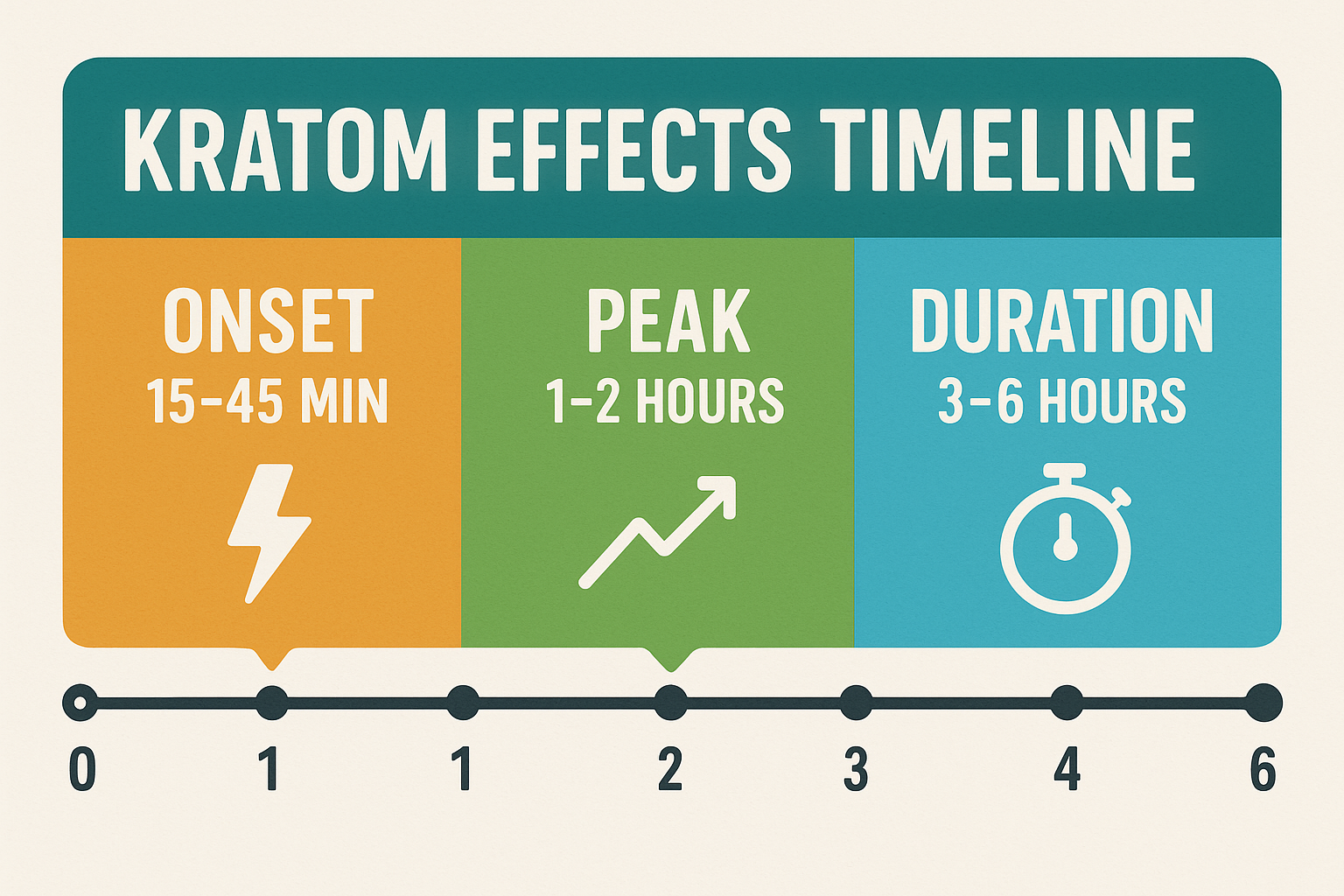 Kratom Effects Timeline