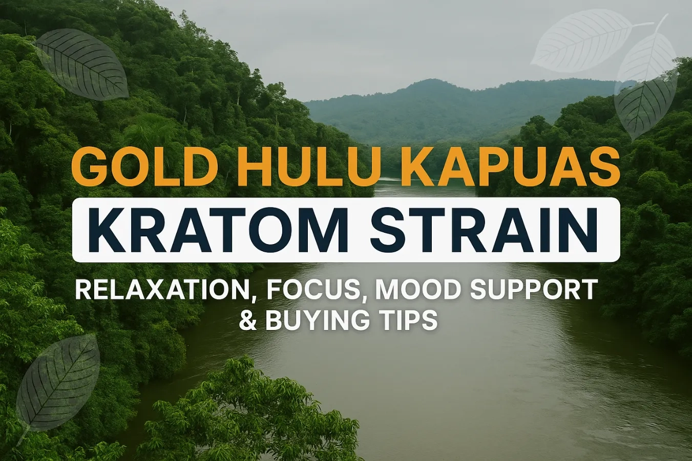 Gold Hulu Kapuas Kratom Strain – Relaxation, Focus, Mood Support & Buying Tips