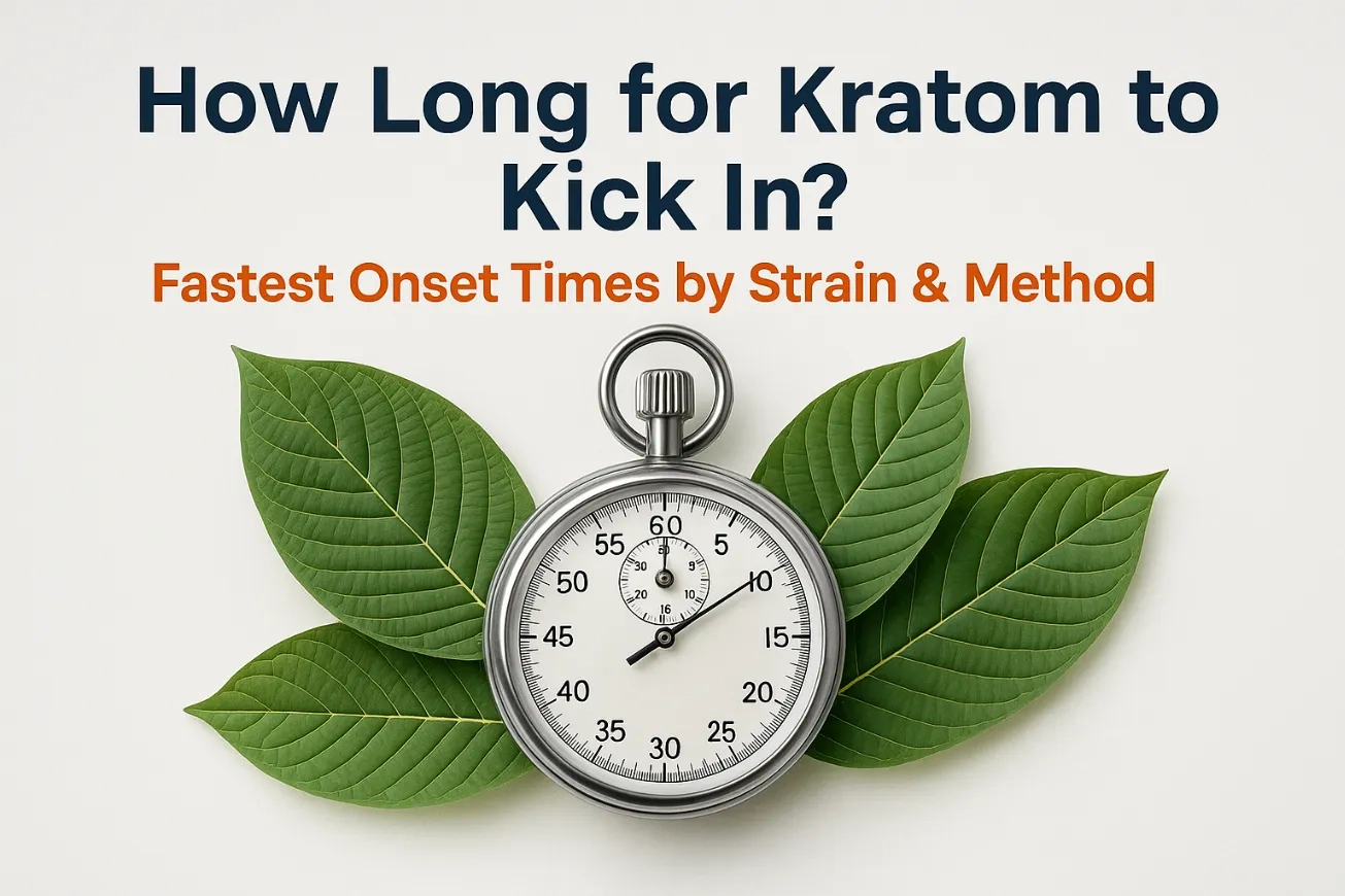 How Long for Kratom to Kick In Fastest Onset Times by Strain & Method