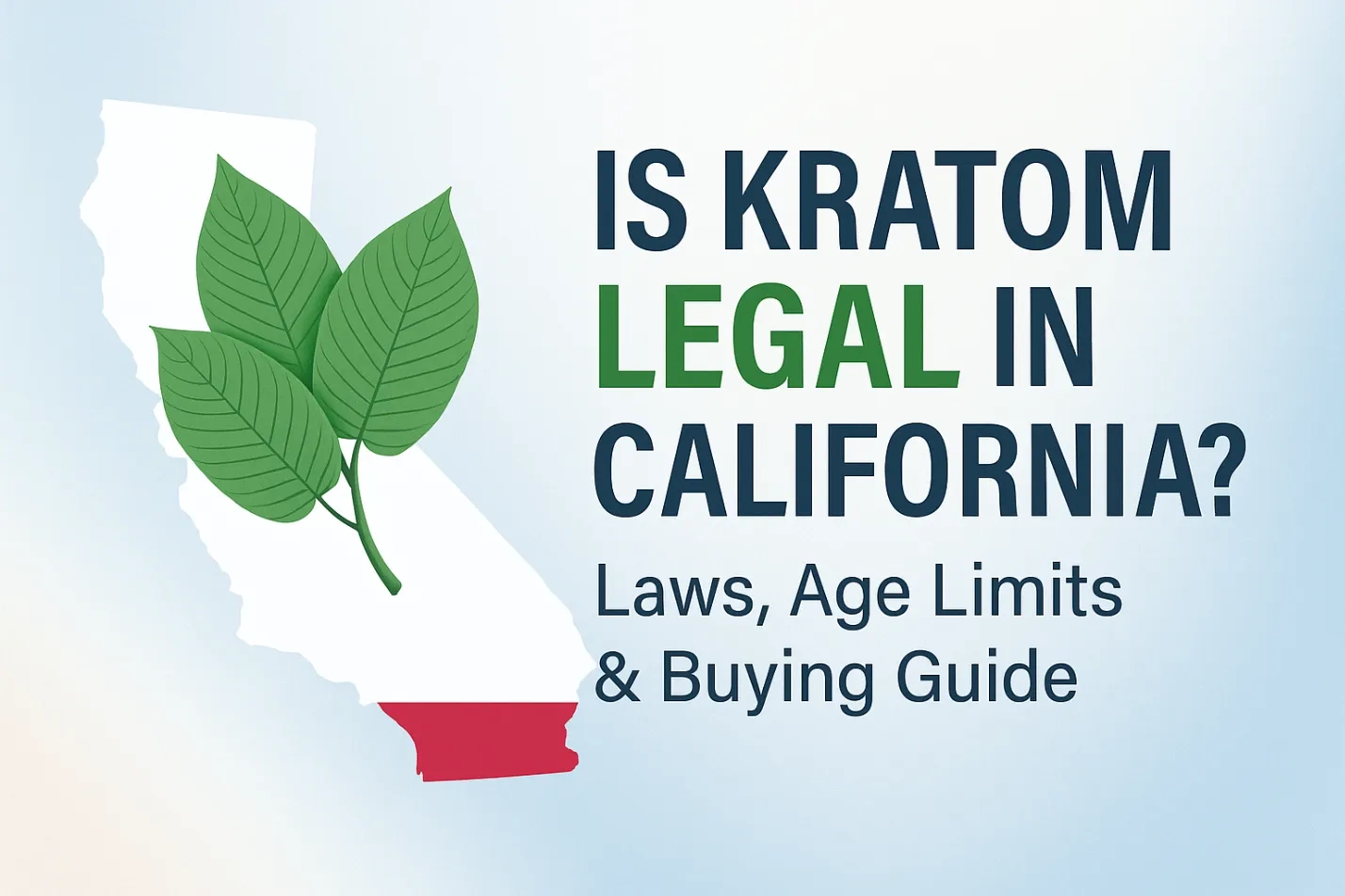 Is Kratom Legal in California Laws, Age Limits & Buying Guide
