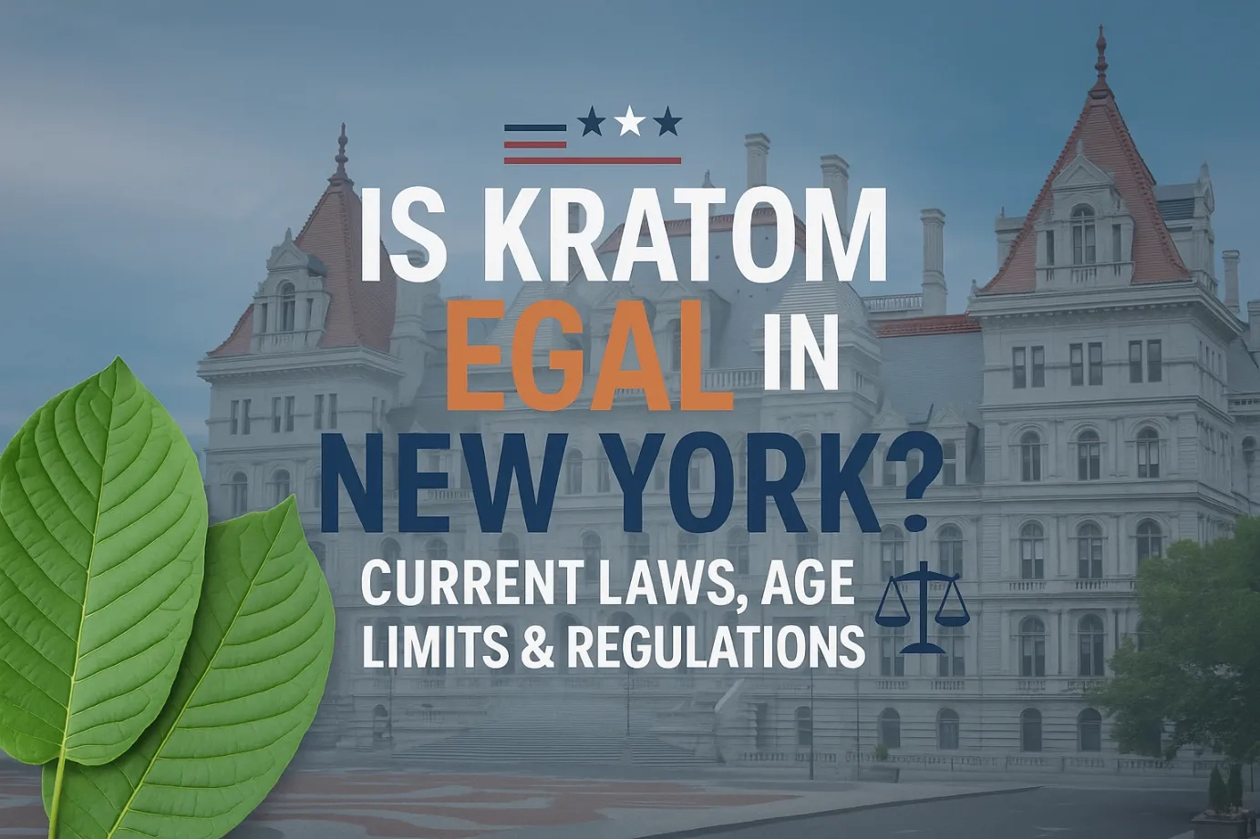 Is Kratom Legal in New York Current Laws, Age Limits & Regulations1