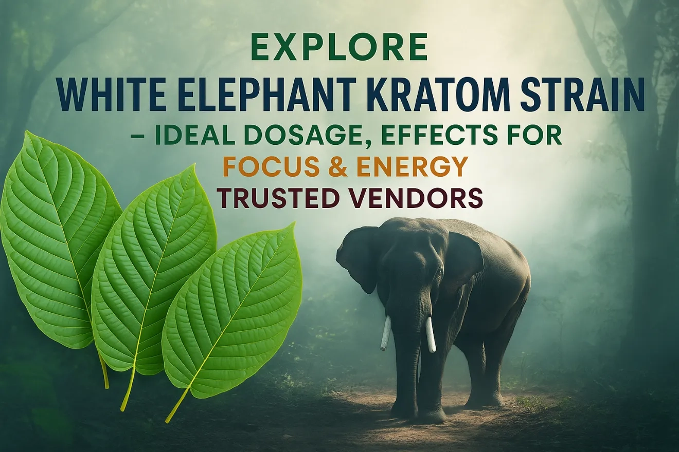 White Elephant Kratom Strain
