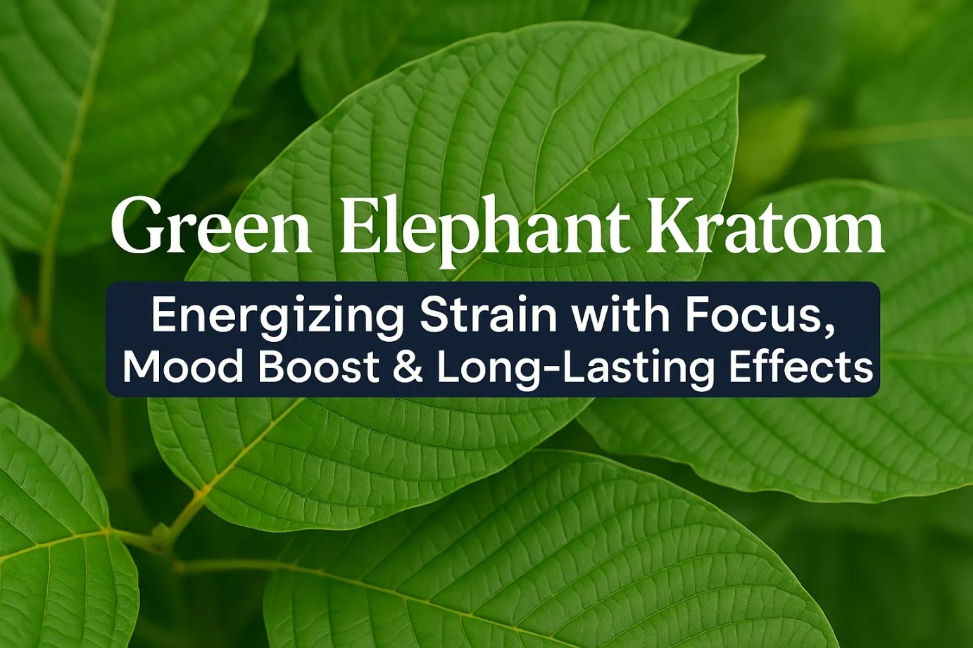 Green Elephant Kratom