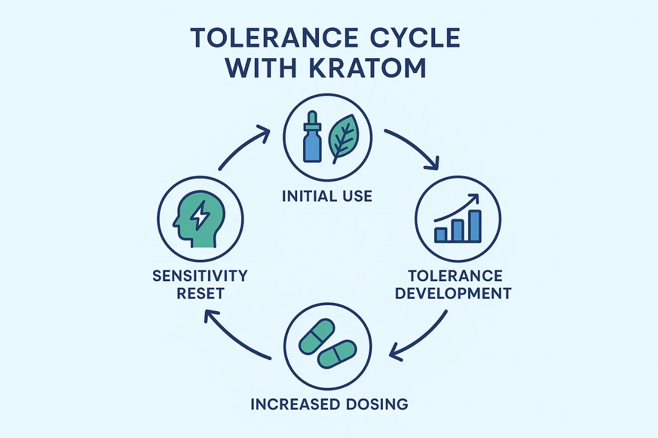 How Often Can You Take Kratom