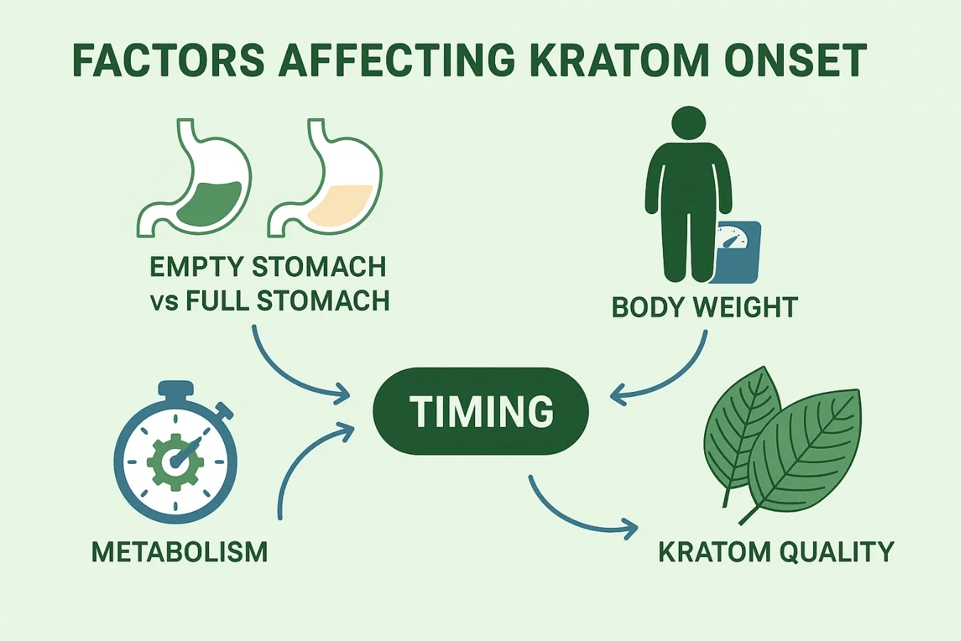How Long Does It Take Kratom to Kick In? Onset Time, Duration & Effects Explained