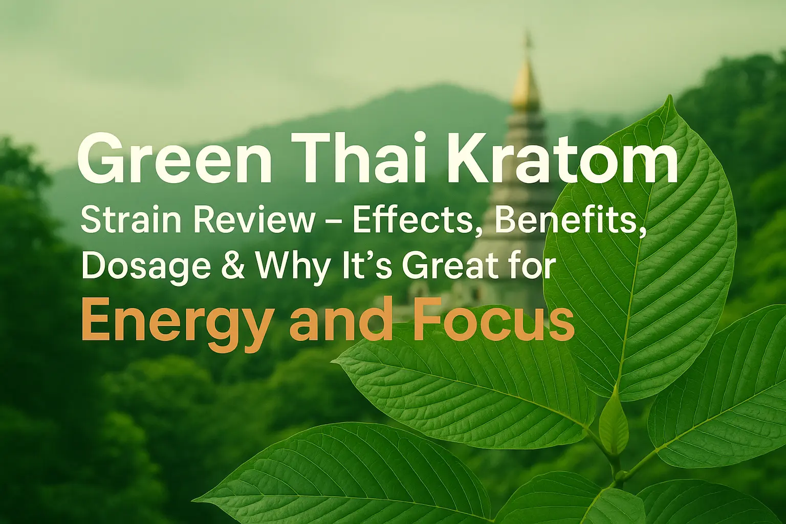 Green Thai Kratom Strain Review