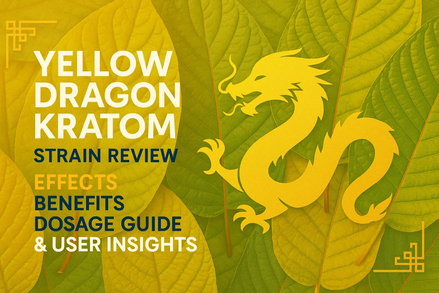 Yellow Dragon Kratom Strain Review