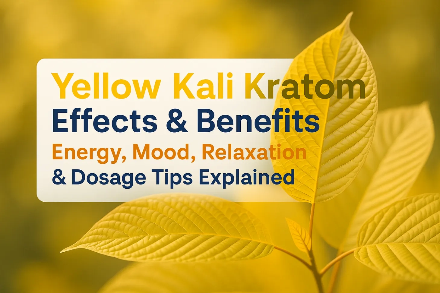 Yellow Kali Kratom Effects & Benefits –