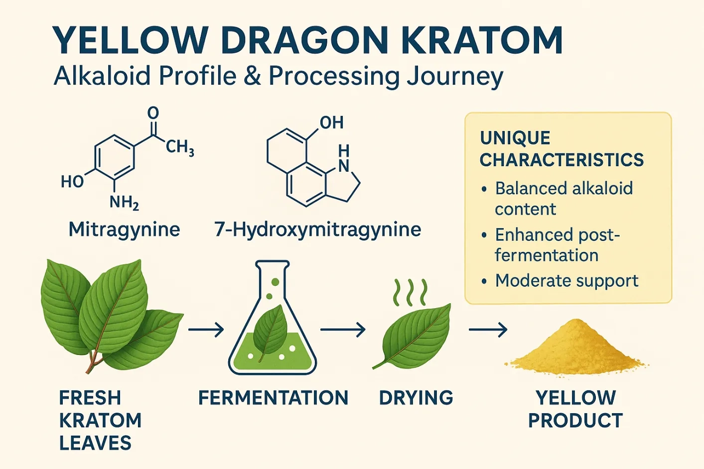 Yellow Dragon Kratom Strain Review
