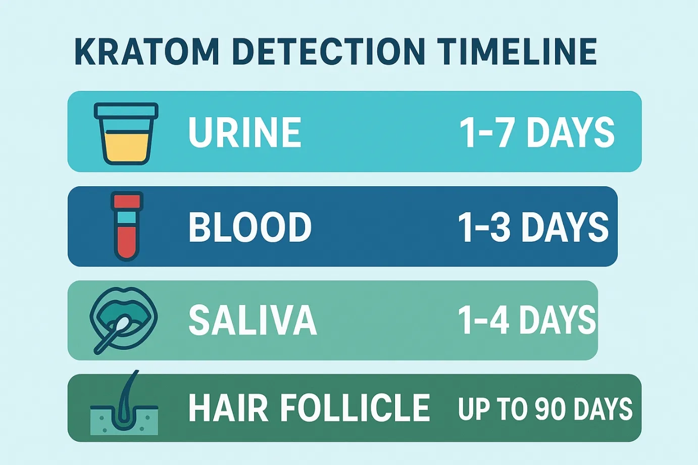 How Long Does Kratom Stay in Your System?
