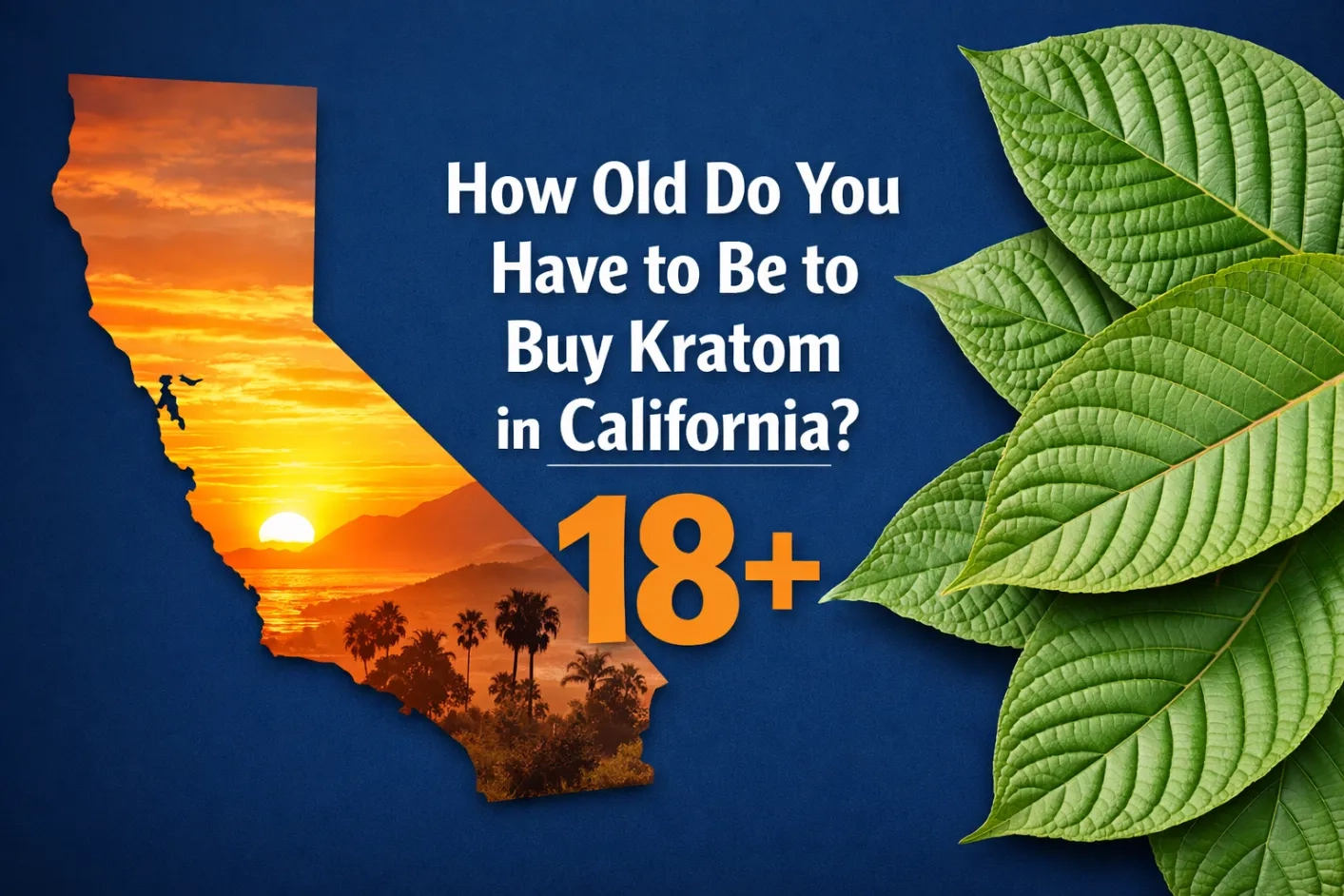 How Old Do You Have to Be to Buy Kratom in California
