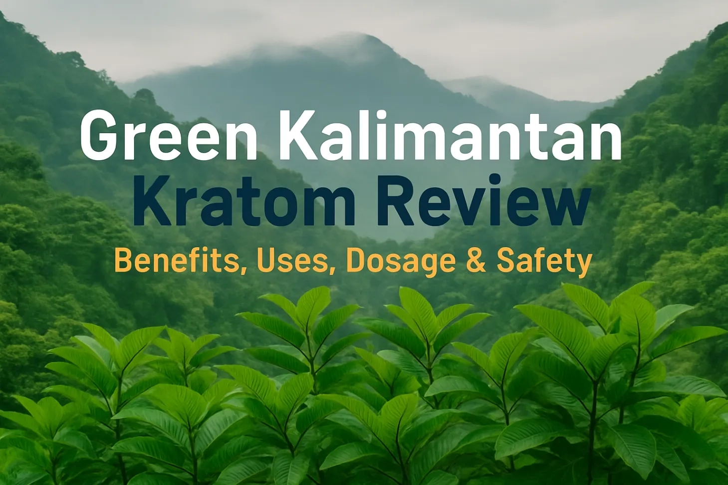 Green Kalimantan Kratom Review
