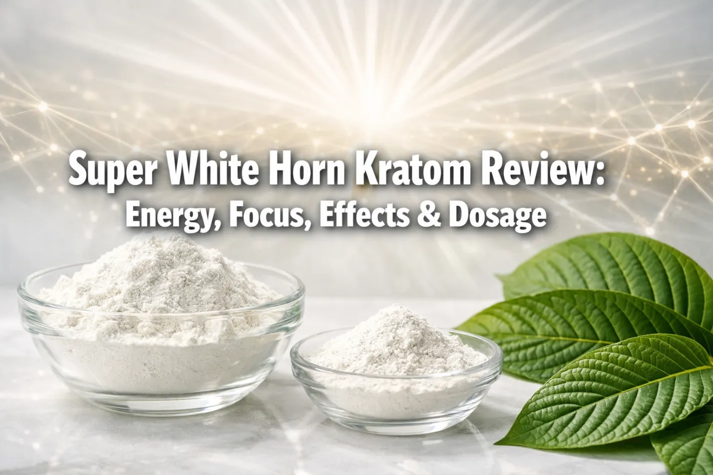Super White Horn Kratom Review Energy, Focus, Effects & Dosage
