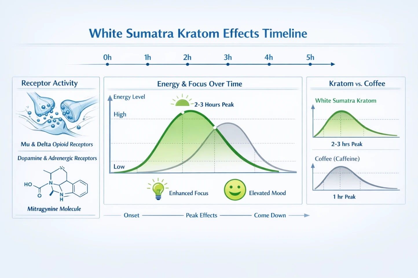 White Sumatra Kratom Review Effects Timeline