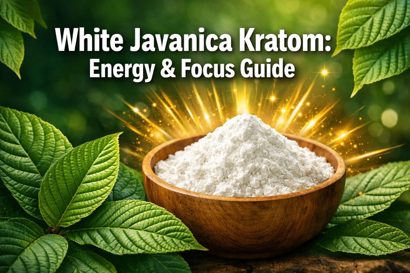 White Javanica Kratom Energy Effects, Focus Benefits