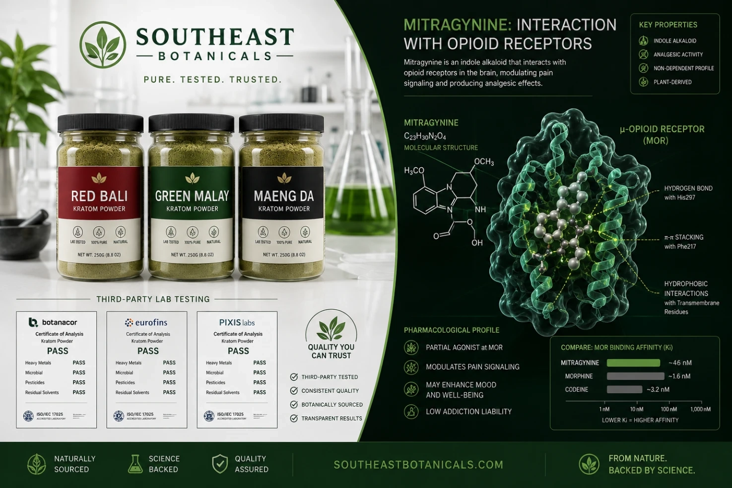 Southeast Botanicals Kratom Vendor alkaloids