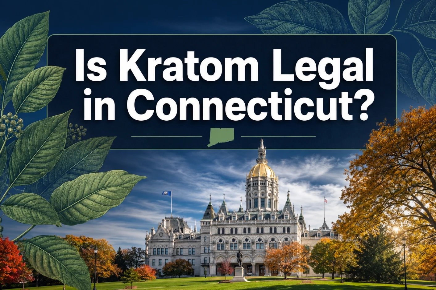 Is Kratom Legal in Connecticut State Laws and Buying Guide