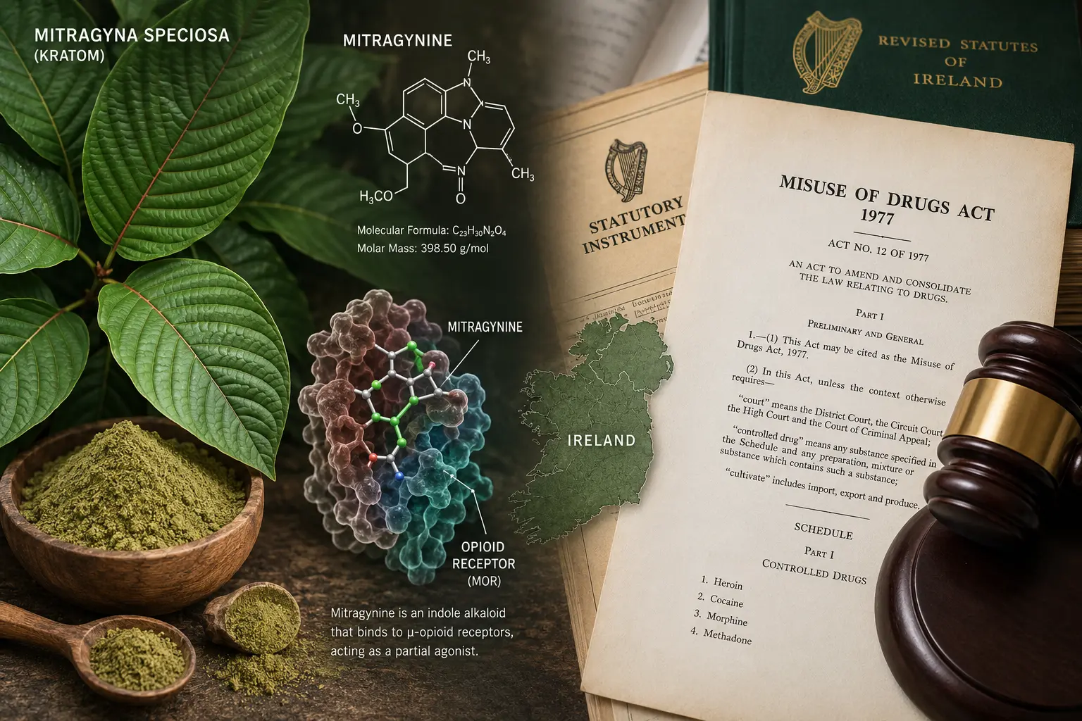 Is Kratom Legal in Ireland Laws, Regulations & Latest Updates2