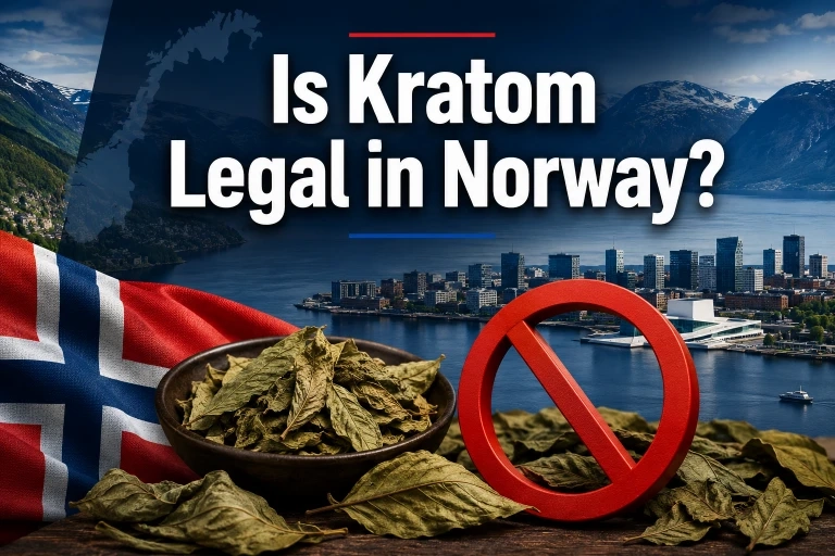 Is-Kratom-Legal-in-Norway-Kratom-Laws-Restrictions